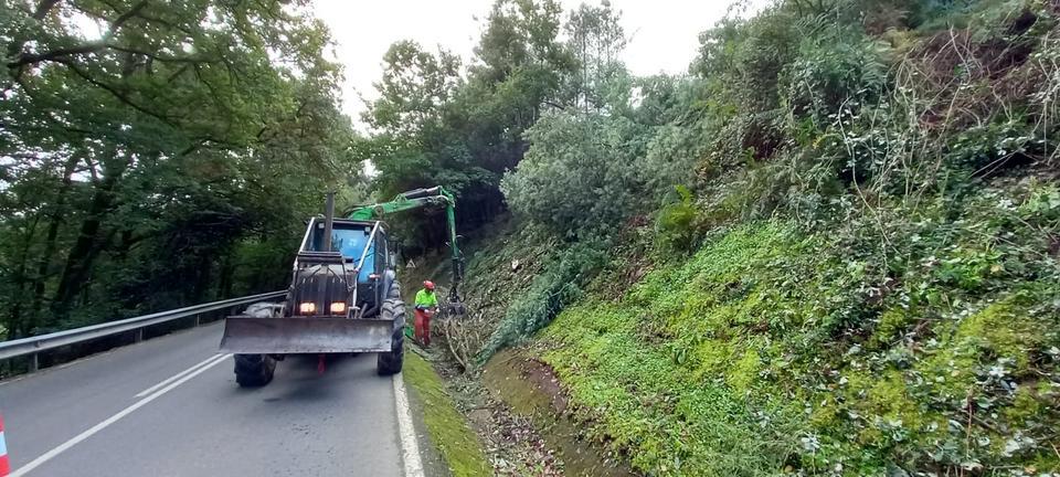 Xunta-iniciara-trabajos-limpieza-desbroce-A-Estrada-PO-226-Morana