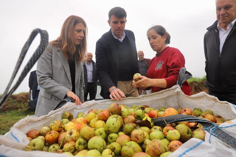 maria-jose-gomez-potencial-produccion-manzana-sidra-ecologica-galicia