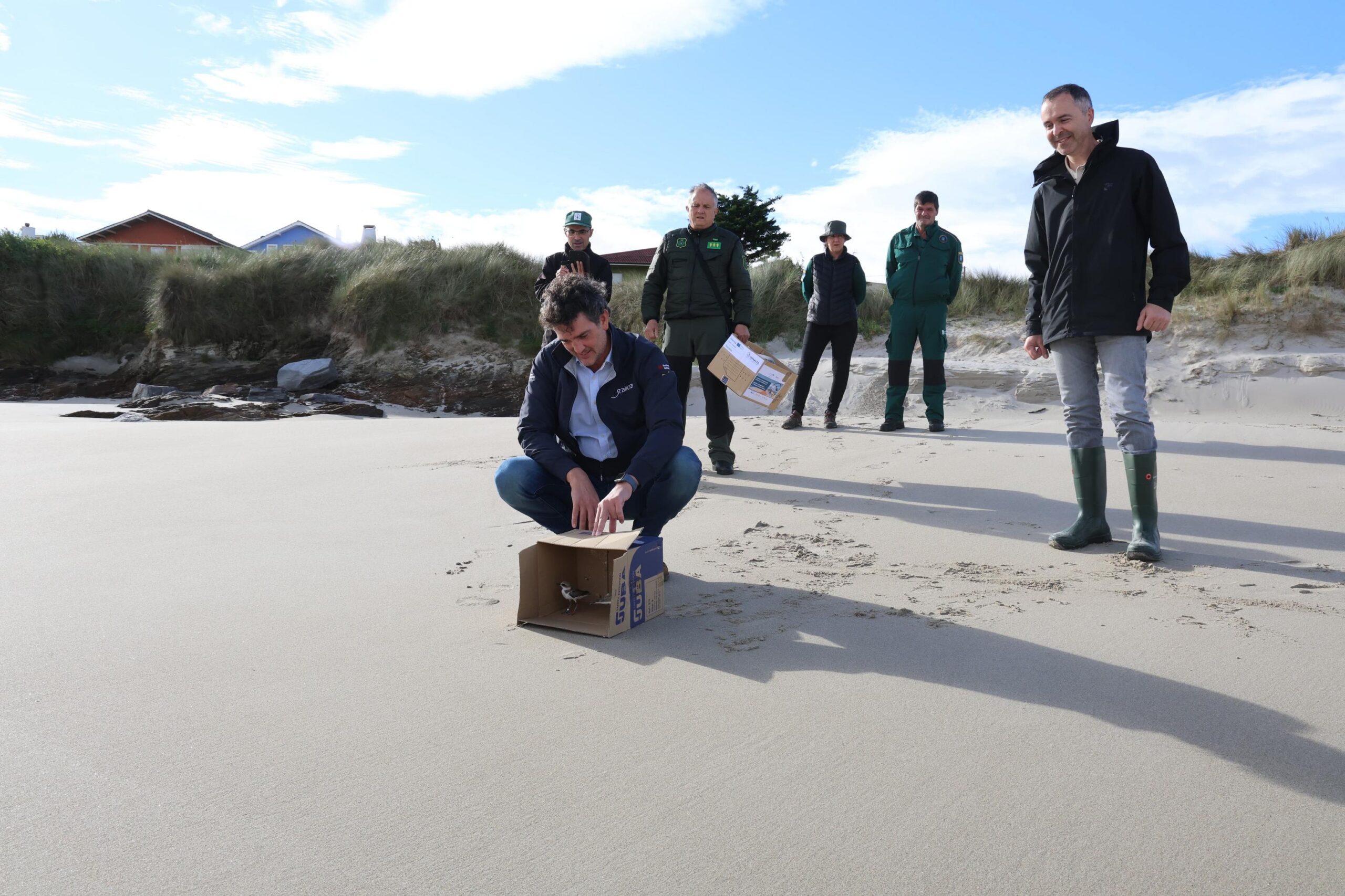 xunta-trabaja-reintroduccion-pillara-dunas-desaparecida-playas-lucenses