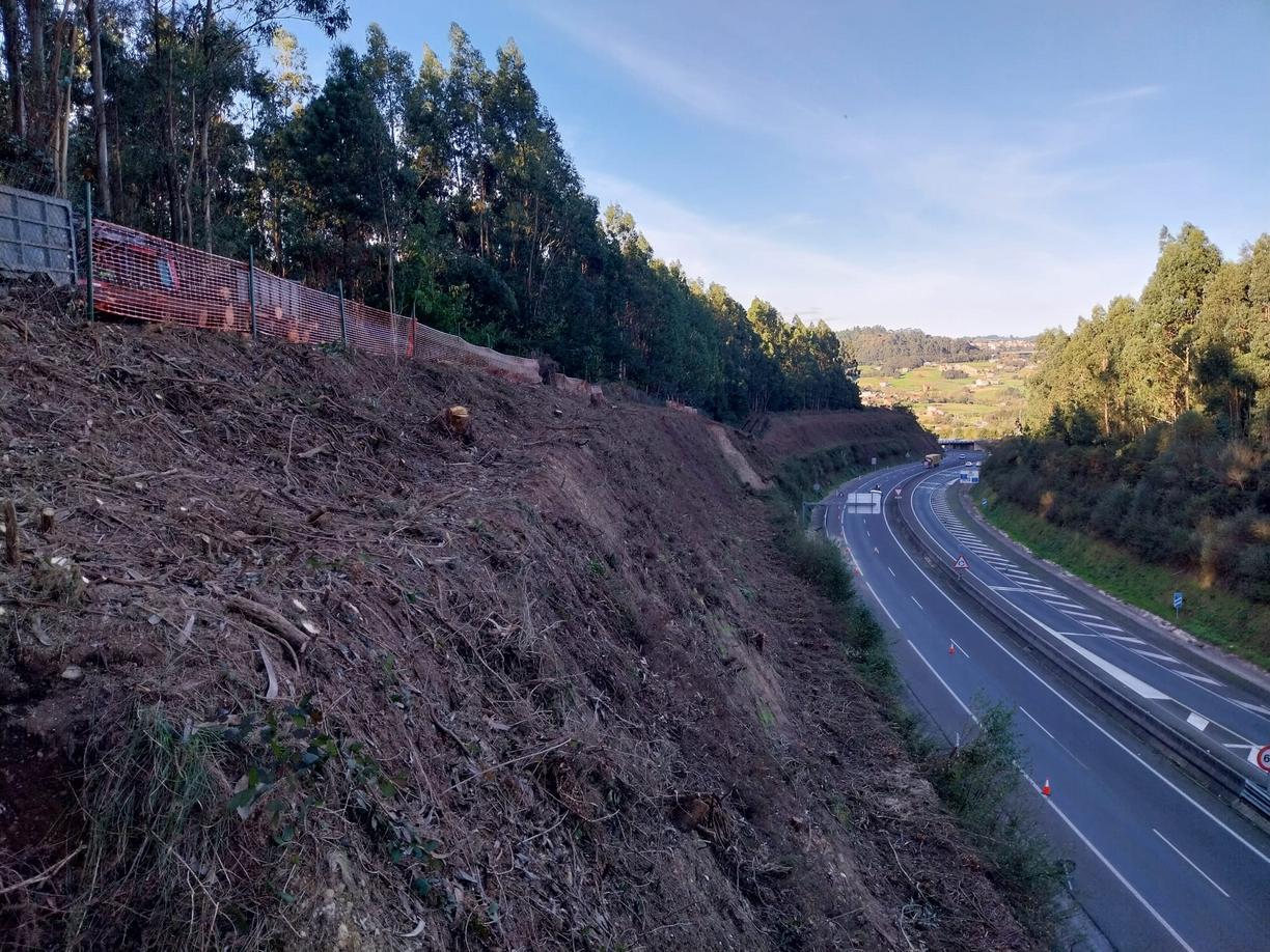 xunta-continua-trabajos-limpieza-desbroce-once-carreteras-autonomicas